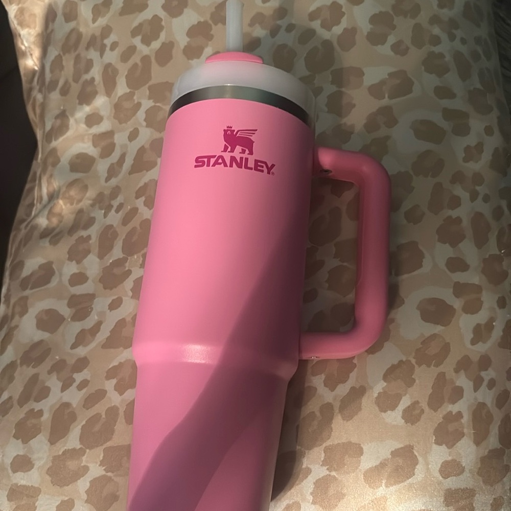 Pink stanley